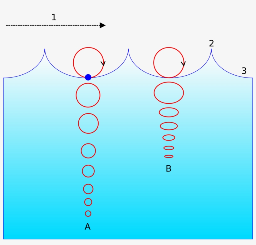 File - Wave Motion-i18n - Svg - Water Molecules In A Wave, transparent png download