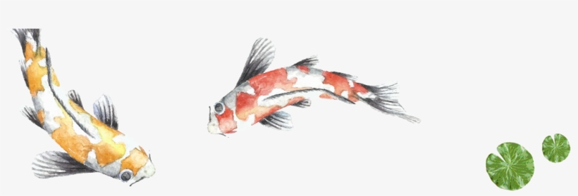 Menu - Goldfish, transparent png download