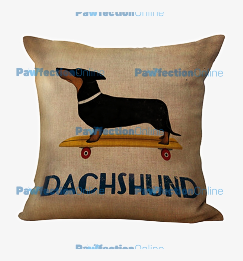 This Cute Vintage Skateboard Dachshund Cushion Cover - Dachshund Longboard, transparent png download