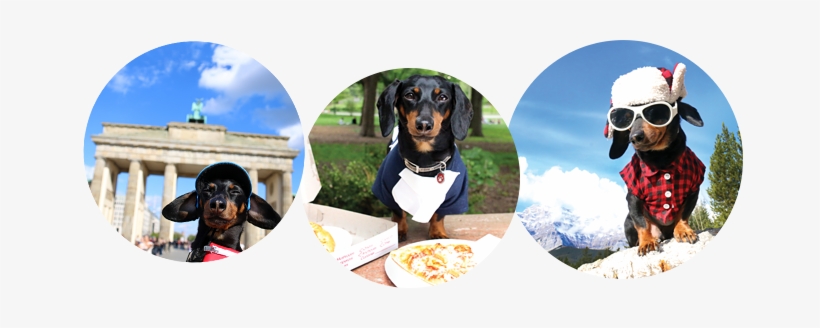 Crusoe Book Bubbles - Brandenburg Gate, transparent png download