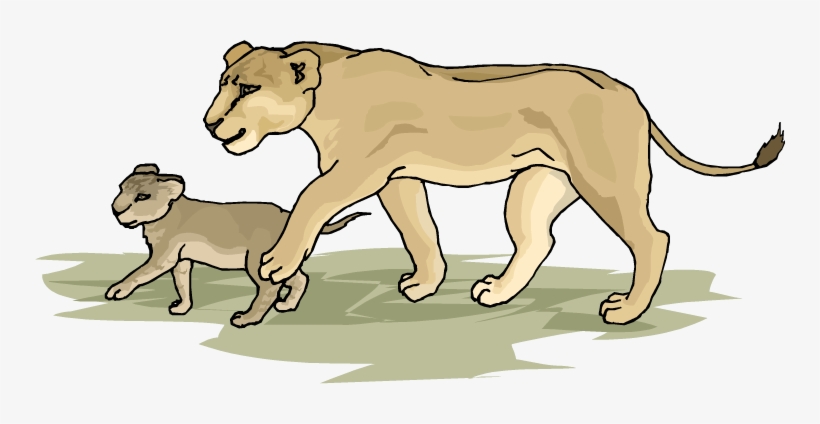 Lion Clipart Lion Cub - Lion And Cub Clip Art, transparent png download