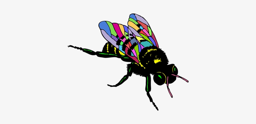 Bee Insect Bug Colorful Bee Bee Bee Bee Be - Black And White Clip Art Of Bee, transparent png download