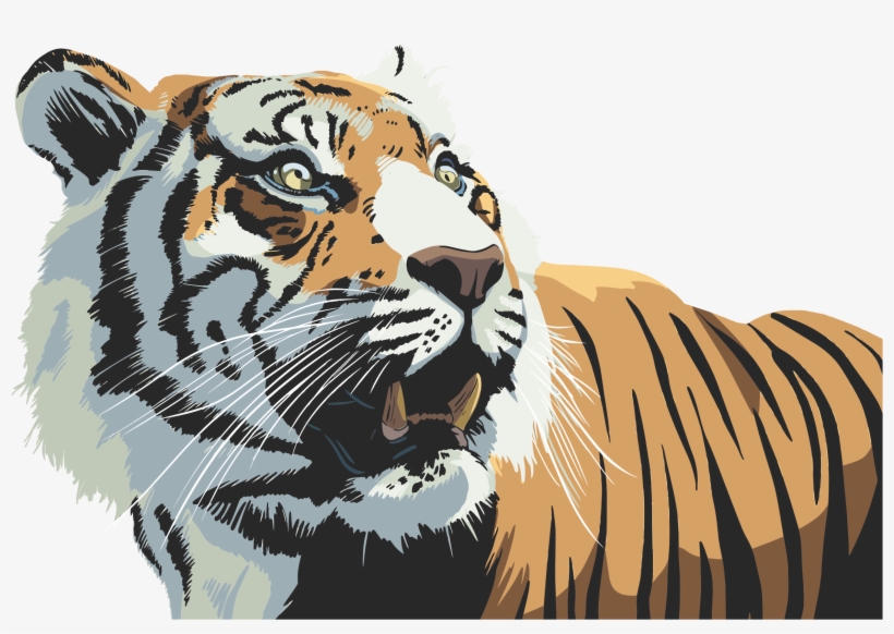 Big Image - Tiger Illustration Png, transparent png download