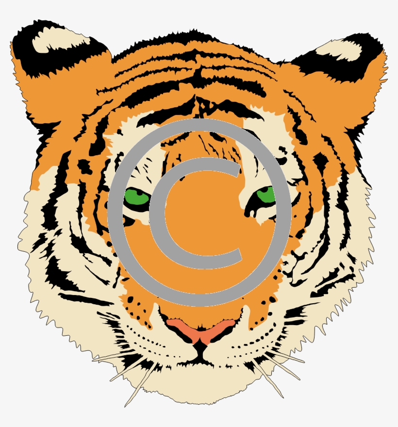 Head Of A Tiger - Transparent Orange Aesthetic, transparent png download