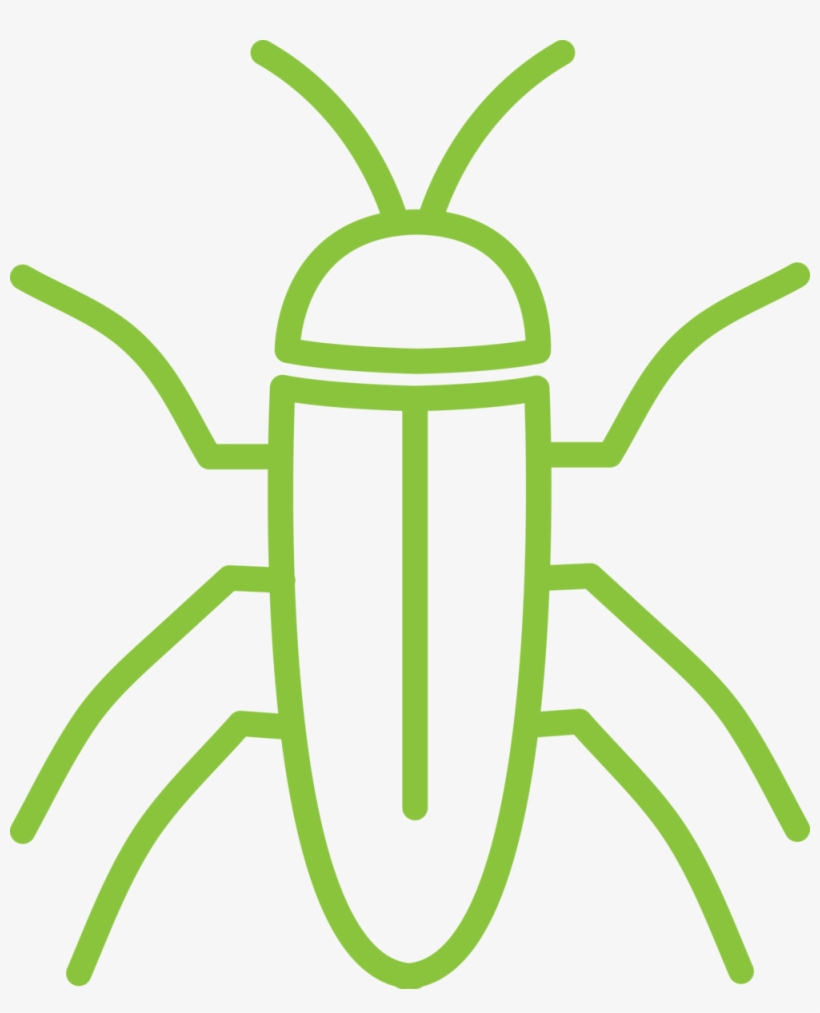 Alta Cockroach Icon - Cockroach, transparent png download