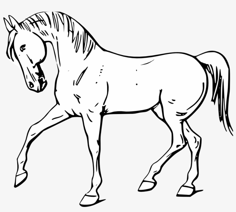 Horse Transparent Black And White - Horse Outline, transparent png download