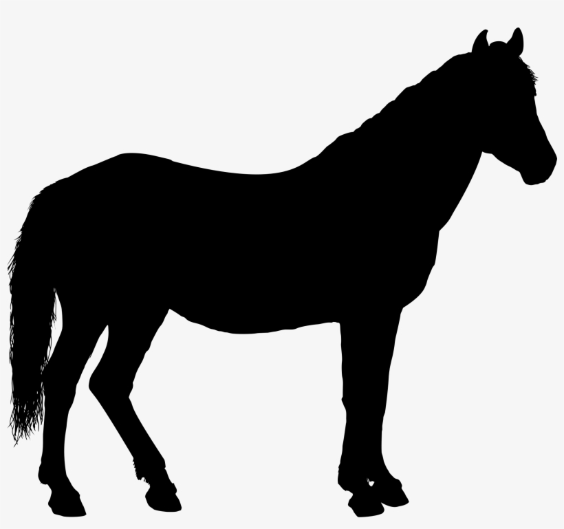 This Free Icons Png Design Of Horse Silhouette 3, transparent png download