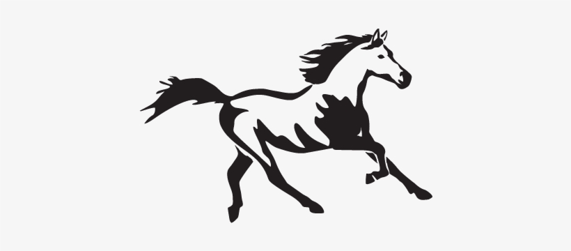 Running Horse Wall Decal - Your Best Friend Doesn T Always Have, transparent png download