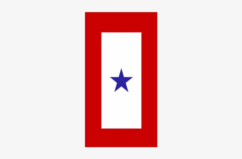 Lake Erie Ny4 Blue Star Mothers Of America - Two Blue Star Flag, transparent png download