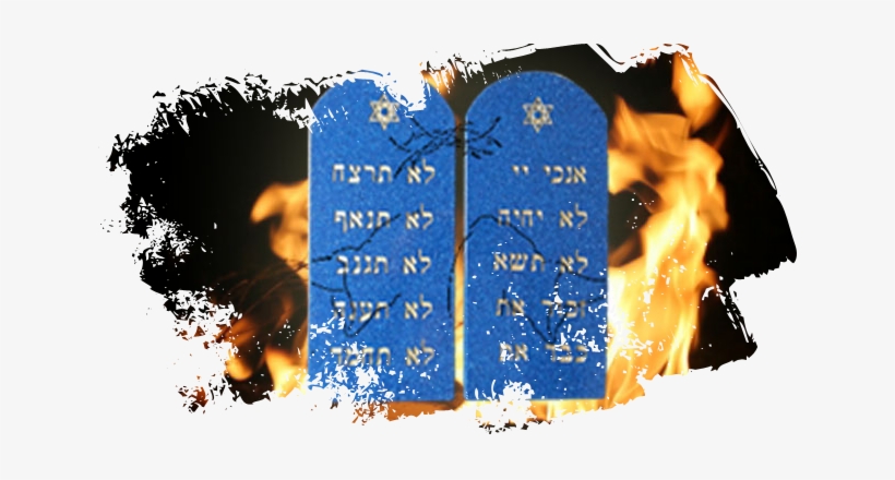 Whole Bible Applications - Glückliche Ostern-blume Karte, transparent png download