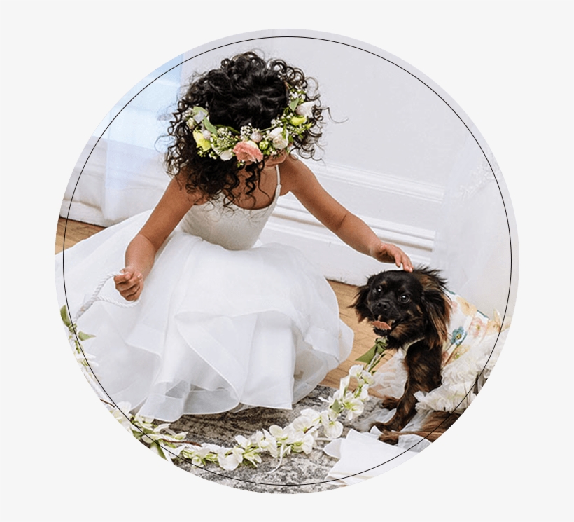 Shop Colorful Wedding Dresses > - Bouquet, transparent png download