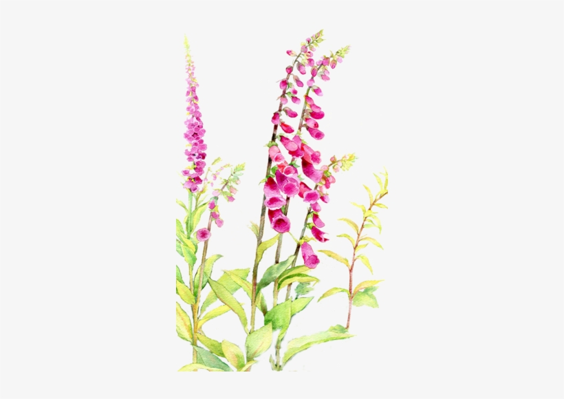 Clipart Transparent Library Anne Marie Patry Belluteau - Fresh, Papier Artystyczny, Format A4, Teczka, Mix Wzorów, transparent png download