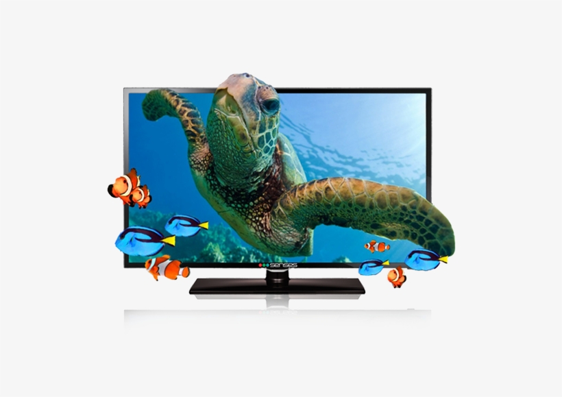 Incredibile Barriera Corallina (l'), transparent png download