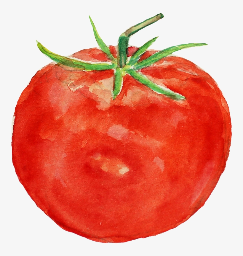 The - Tomato, transparent png download