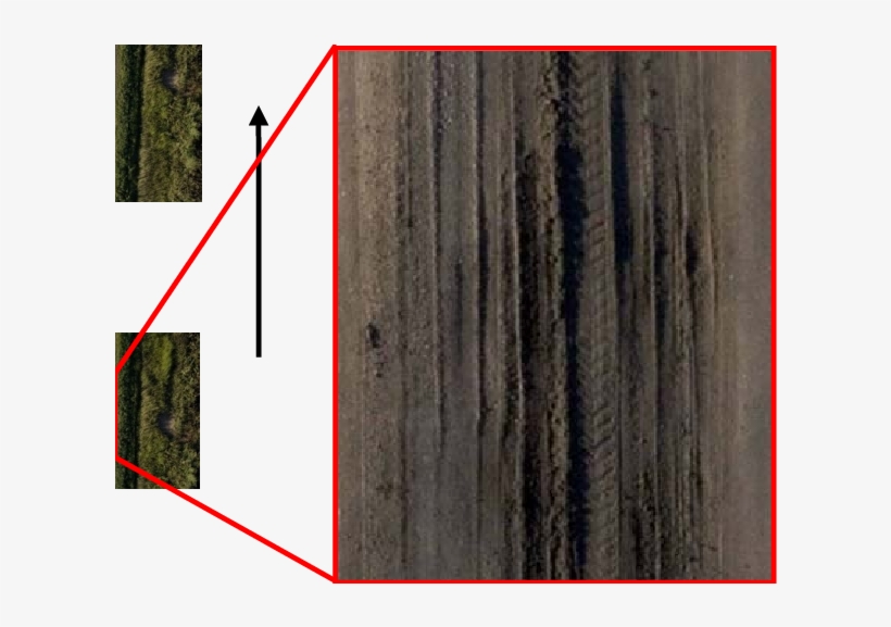 Example Of Road Images Acquired By Uav Over A Road - Cypress Family, transparent png download