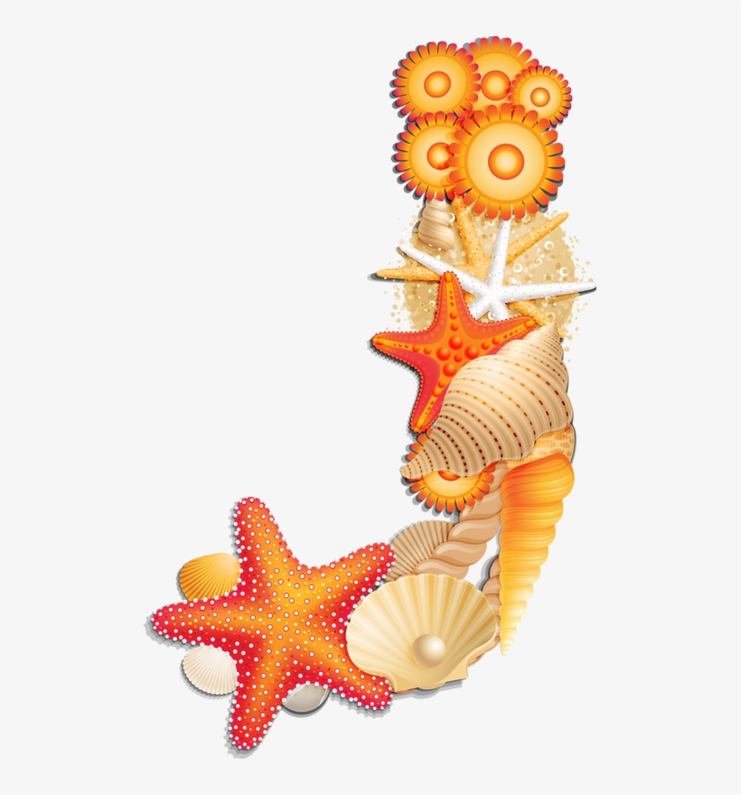 1 Alpha Orange - Scrapbook Seashells Letter W Clipart, transparent png download