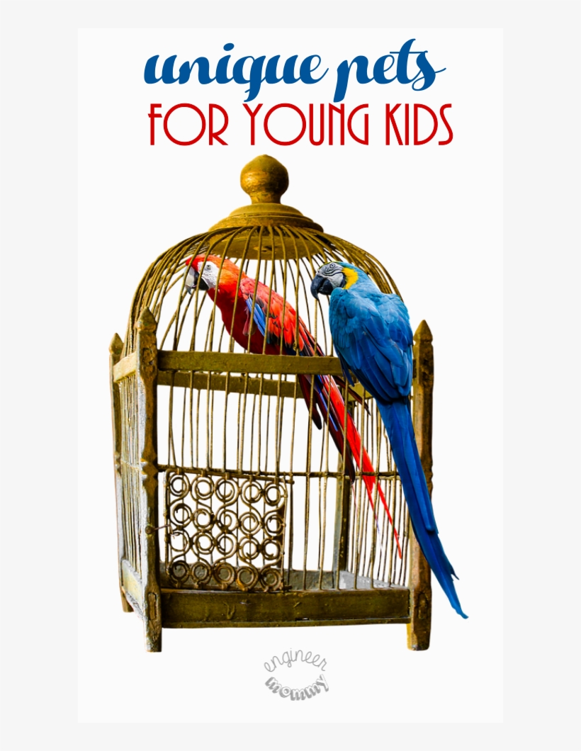 Unique Pets For Young Kids - Cage, transparent png download