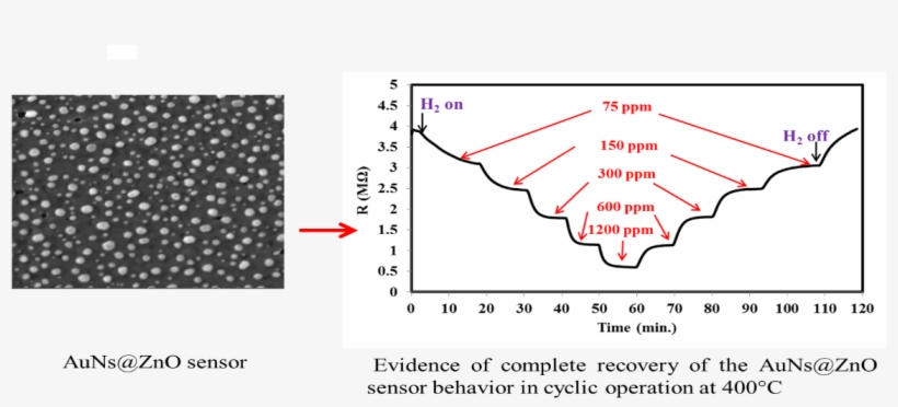 Cent's Nanostructured Chemical Sensors Research Group - Diagram, transparent png download
