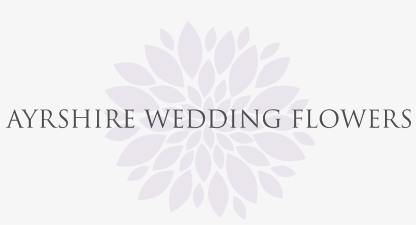 Carpet Foundation, transparent png download