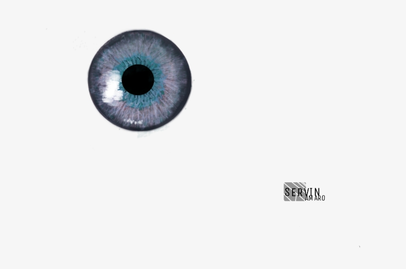 Report Abuse - Circle, transparent png download