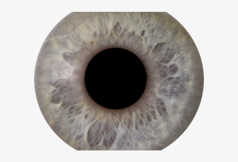 Eyeball Clipart Ojos - Grey Eye Color Png, transparent png download