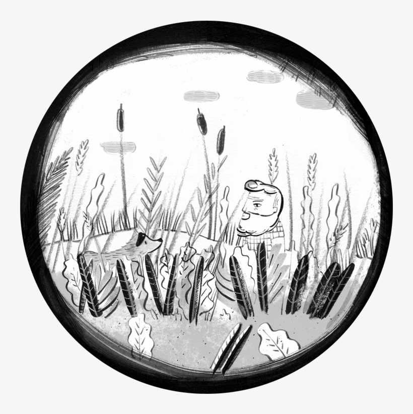 Children's Book «lágrimas De Sirena» Publishing House - Monochrome, transparent png download