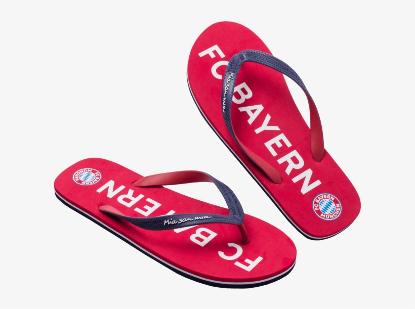 Allianz Arena, transparent png download