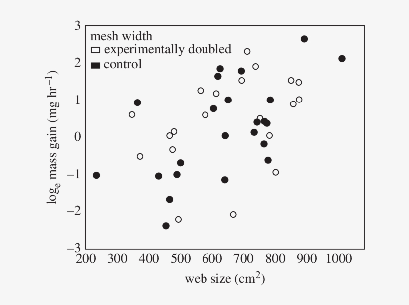 Spider Mass Gain Increases With Web Size - Circle, transparent png download