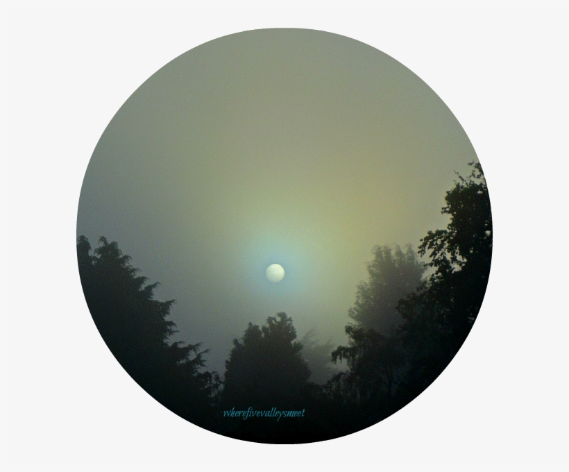 A Spiders' Web - Circle, transparent png download