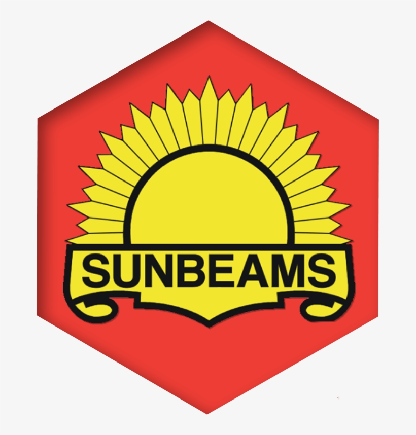 Step - Samsung Ice Maker Gear, transparent png download