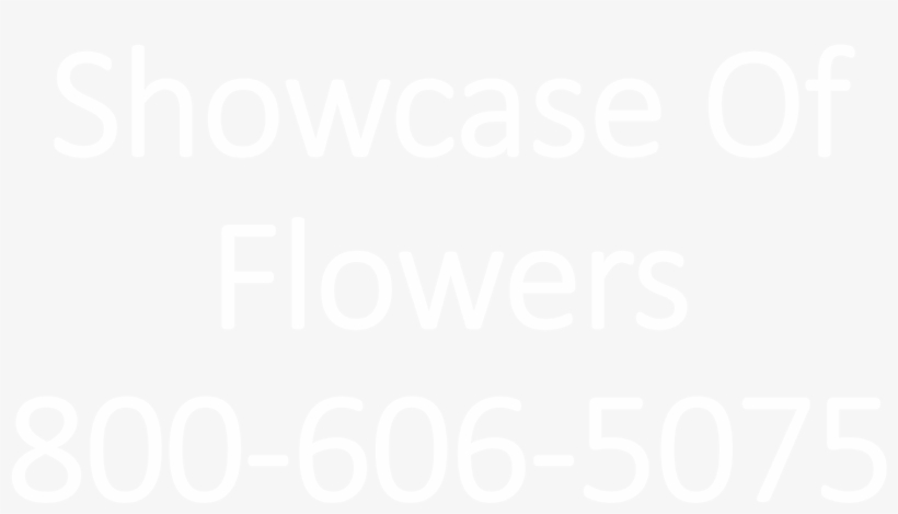 Showcase Of Flowers - Google G Logo White, transparent png download