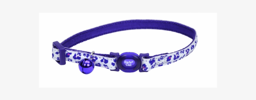 Belt, transparent png download