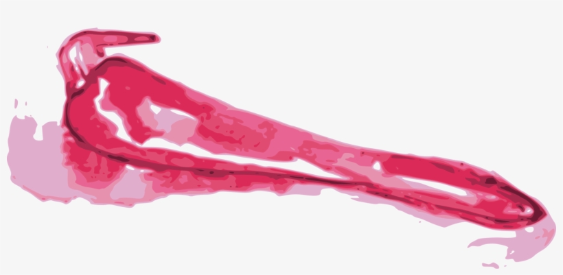 Literary Cookbook Comida Latina - Illustration, transparent png download