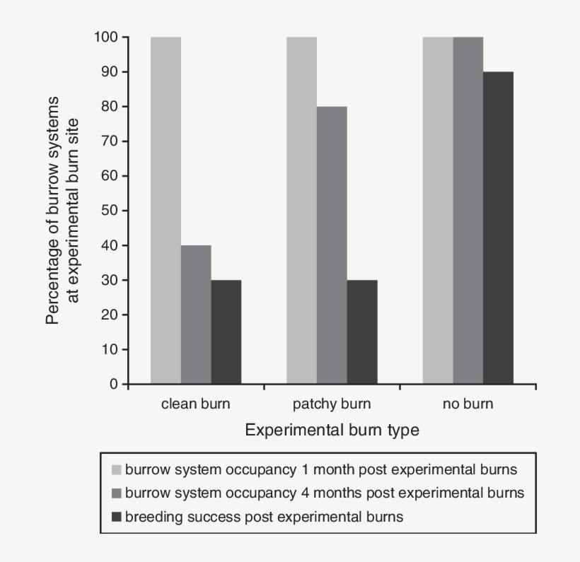The Percentage Of Liopholis Kintorei Burrow Systems - Plot, transparent png download