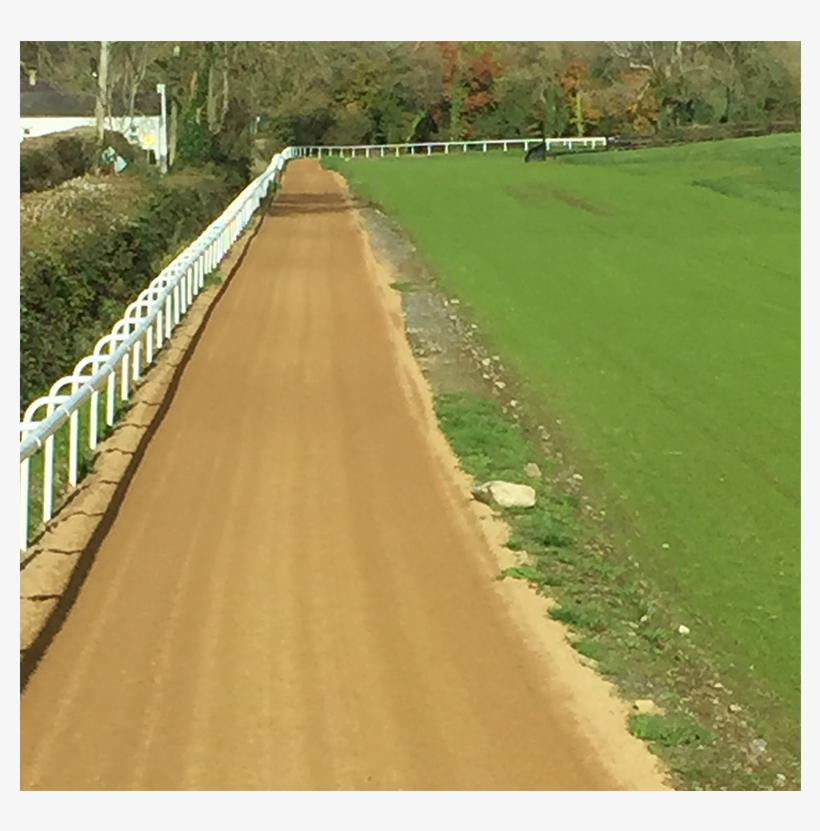 Gallops - Grass, transparent png download