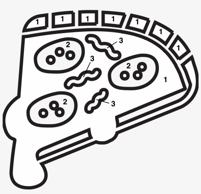 Art Is Fun, transparent png download