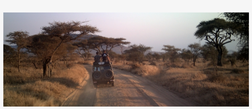 How To Travel Sustainably - Safari, transparent png download