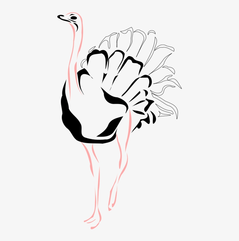 Ostrich - Drawing Birds Ostrich, transparent png download
