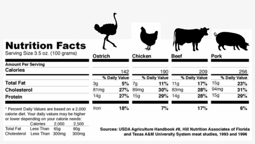 Premium Ground Ostrich - Silhouette, transparent png download