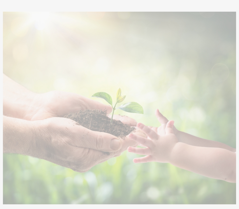 Shared Challenges, Collaborative Solutions - Natural Environment, transparent png download