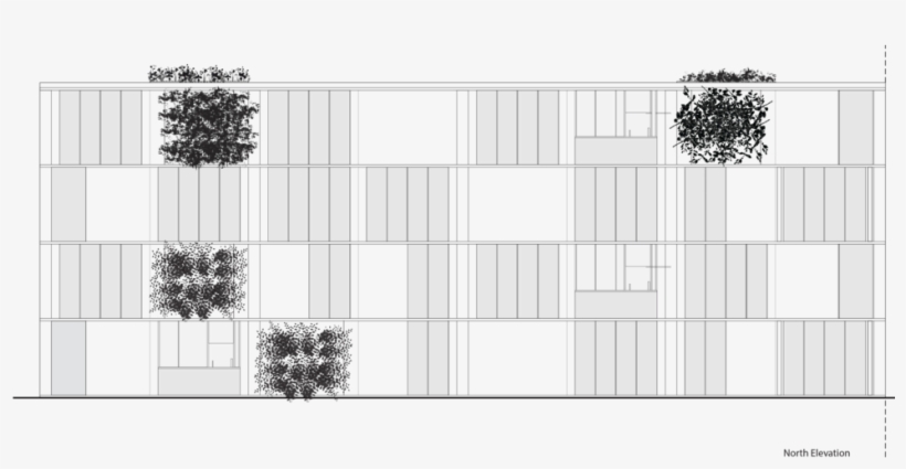 Northelevation 2 - Tree, transparent png download
