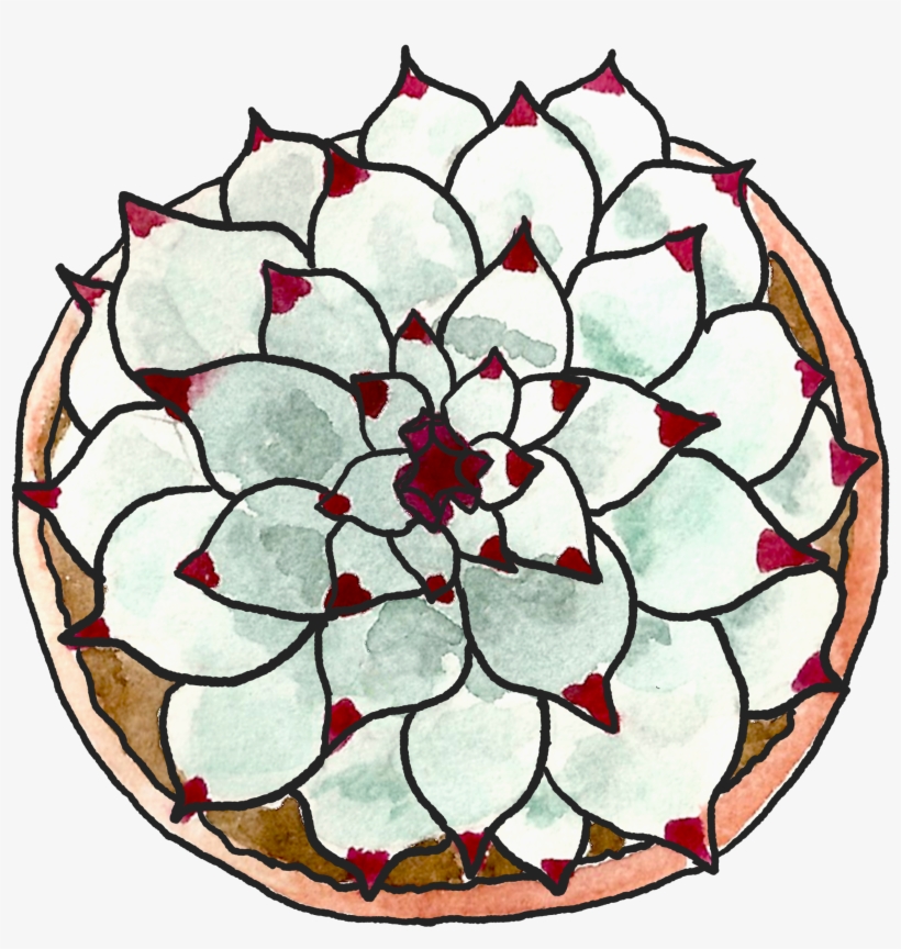 Well, Now We Need To Find Lots Of People To Help Make - Succulent Plant, transparent png download