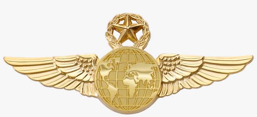 6425sw Star & Wreath Wing With Generic Emblem - Emblem, transparent png download