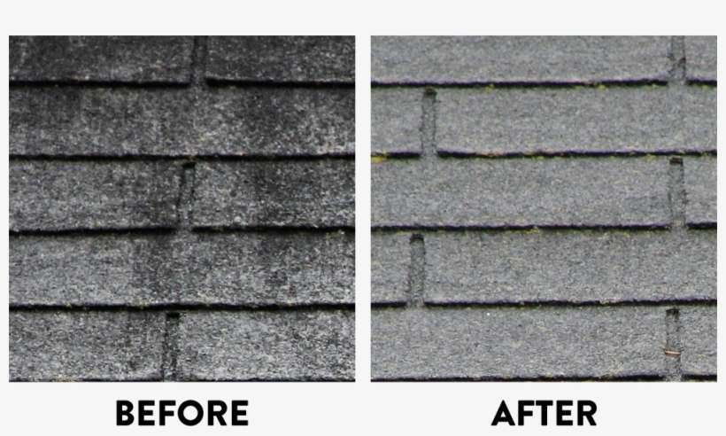 We Are Roof Poof - Roof, transparent png download