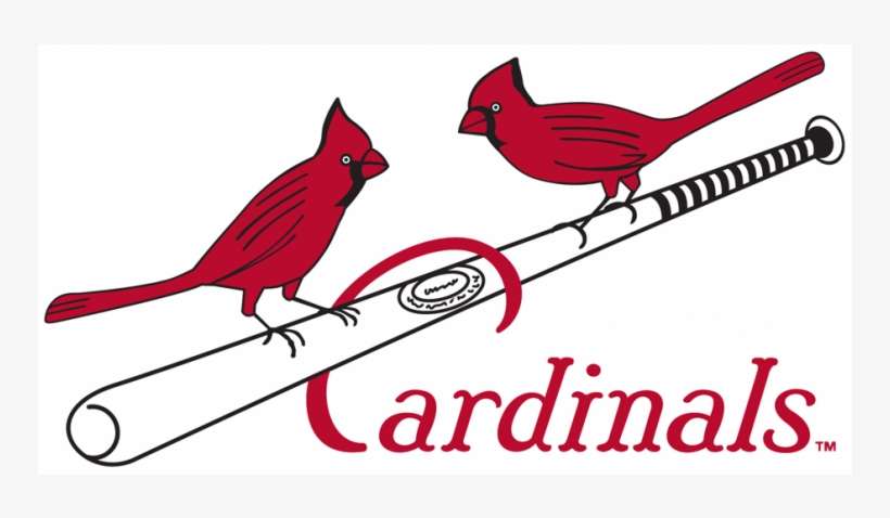 Louis Cardinals Iron On Stickers And Peel-off Decals - Northern Cardinal, transparent png download