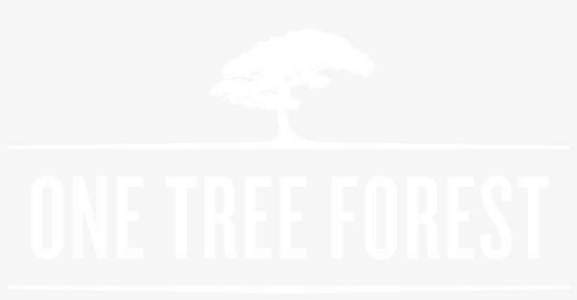 Content At The Speed Of Life - Tree, transparent png download