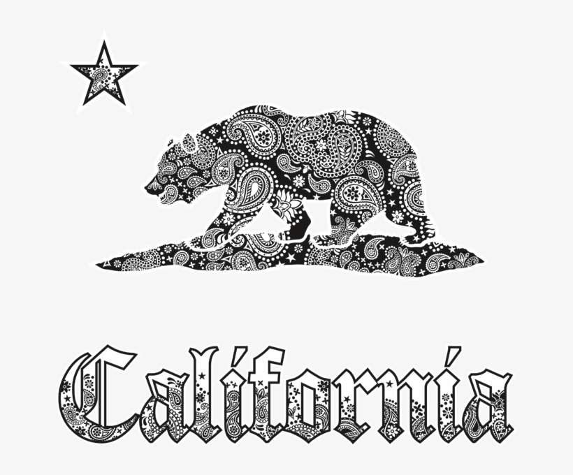 California Bear - Illustration, transparent png download