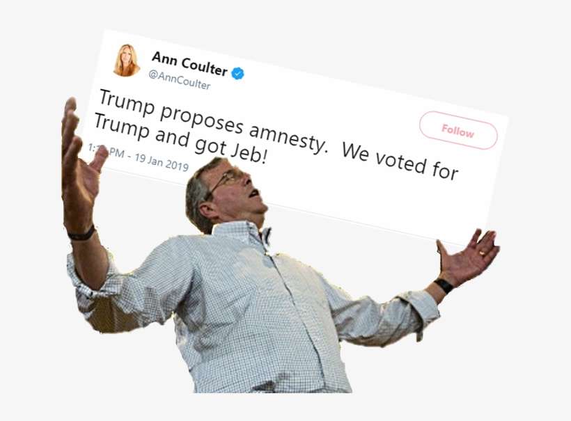 Ann Coulter @anncoulter Follow Trump Proposes Amnesty - Jeb Wins Brazil, transparent png download