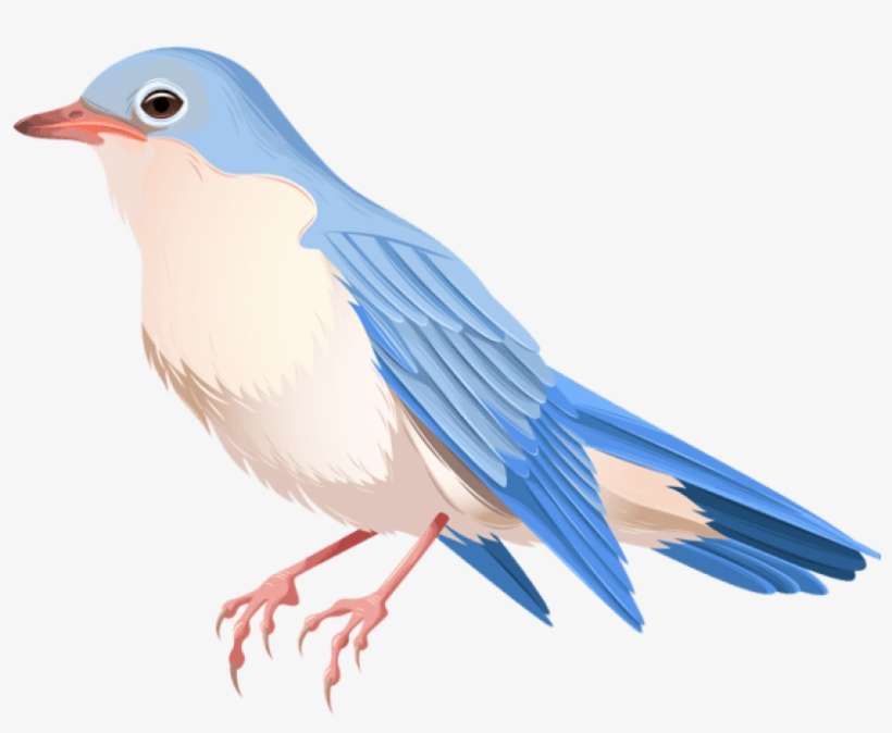 Free Png Download Bird Png Images Background Png Images - Transparent Background Bird Png, transparent png download