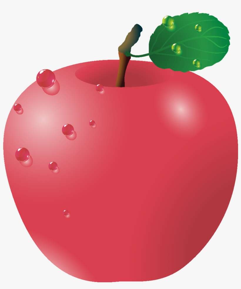 Vector Hand Drawn Fresh Organic Red Apple - School Supplies, transparent png download